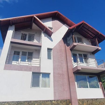 Hotel Casa Silvia Căpăţîneni-Ungureni Exterior foto